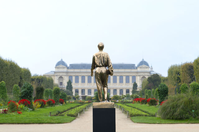 219335-rosa_fiac.jpg