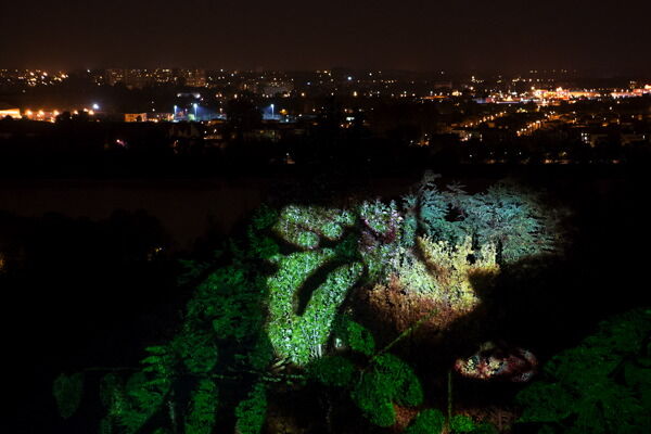 221309-ocrouzel_monstre_12.jpg