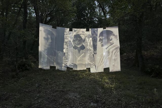 _In situ_