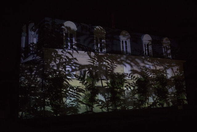 _Le château haie_