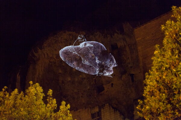 221257-ocrouzel_memoire-lumiere-de-la-prehistoire_07.jpg