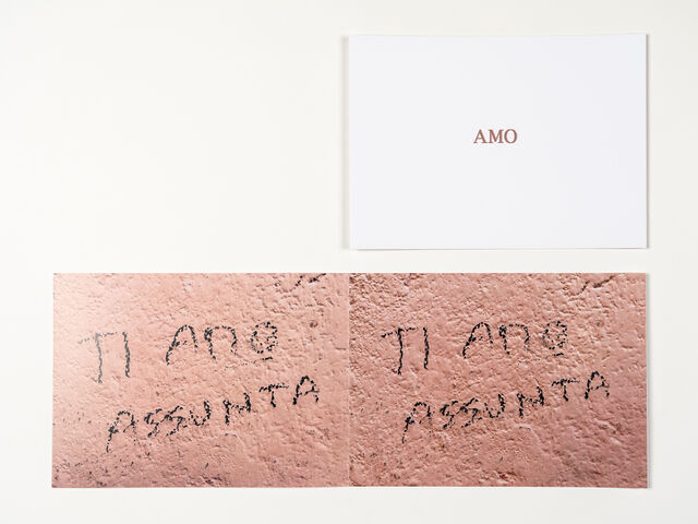 _AMO_, 2021