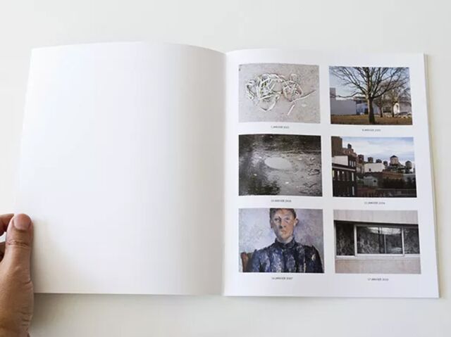 _Saisons #2_, 2012