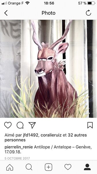 222300-pierre-line-renie-15ig180117171005170918.jpg