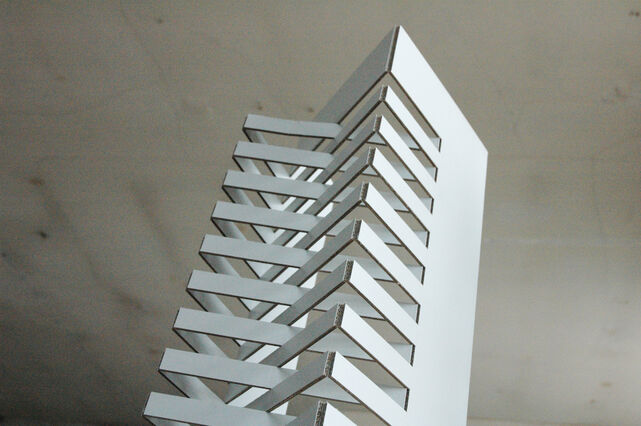 232347-dapic-jovandic_carton-blanc_dsc_5637.jpg