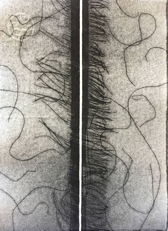 232457-dapic-jovandic_tarlatane_img_0722.jpg
