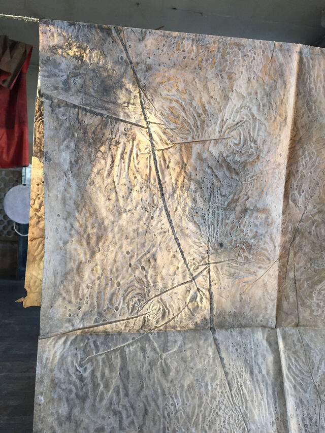 232269-radmila-j-dapic_broderie_calque_abrasion_3.jpg