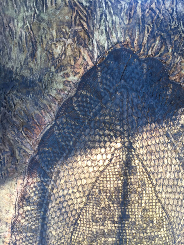 232263-radmila-j-dapic_broderie_calque_dentelles_detail_10.jpg