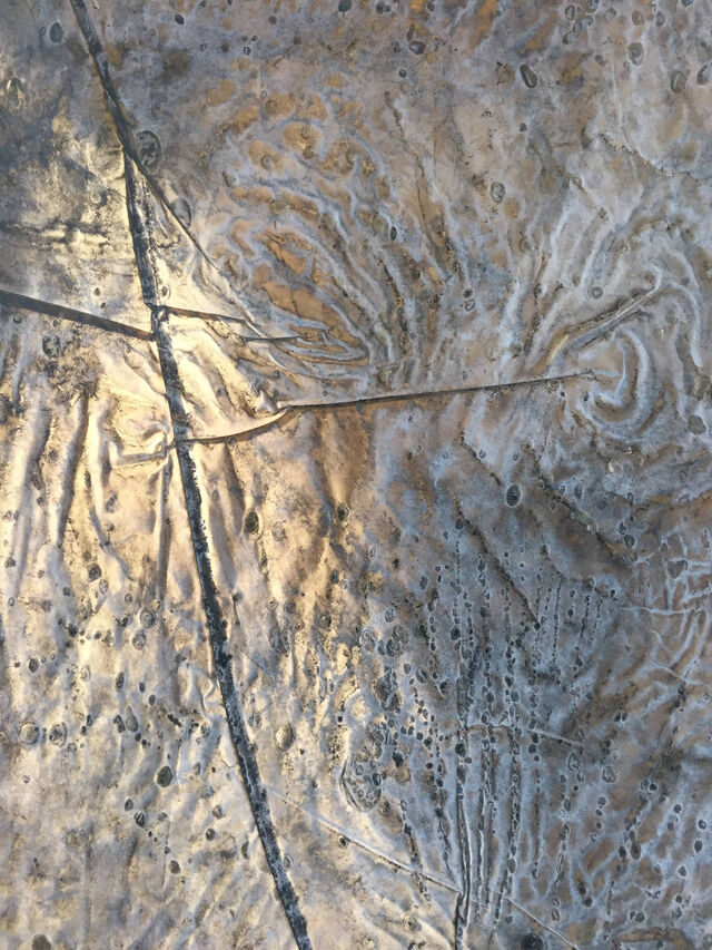 232277-radmila-j-dapic_broderie_calque_abrasion_detail_6.jpg