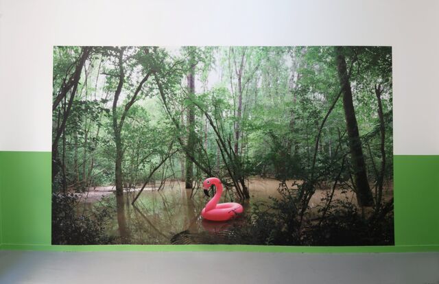 _Phoenicopterus wallpaper (Flamenco power)_