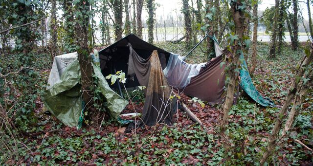 _Tarp_