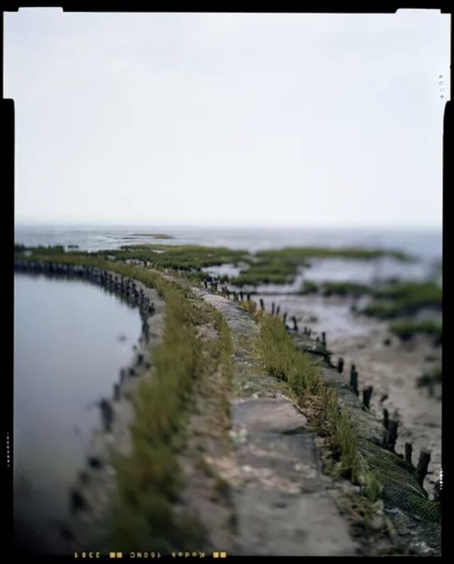 _Delta de la Leyre_