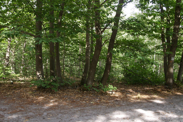 236993-mouron_360en40etapes_p8050166.jpg