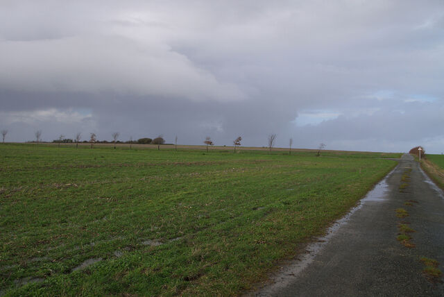 236879-mouron_360-1_360o_i_180o.jpg