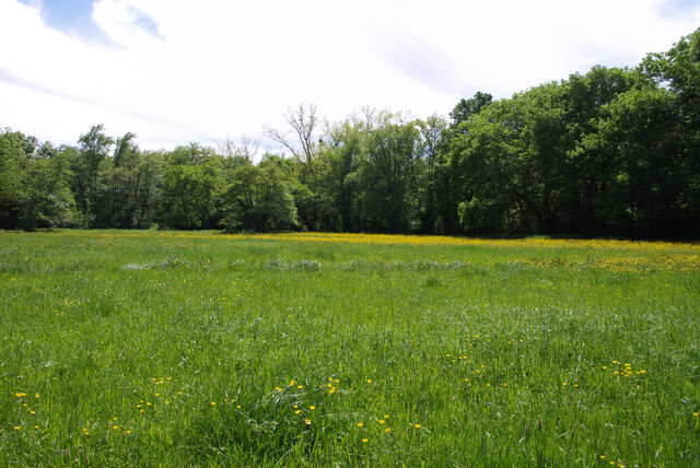 236901-mouron_360-2_360_ii_120o.jpg