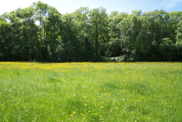 236905-mouron_360-2_360_ii_180o.jpg