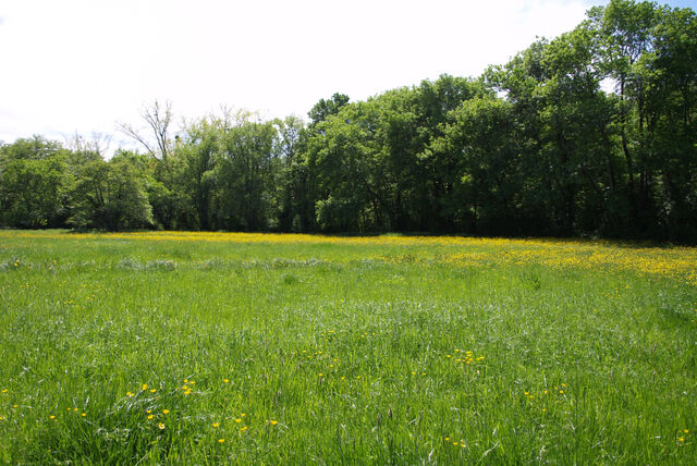 236902-mouron_360-2_360_ii_135o.jpg