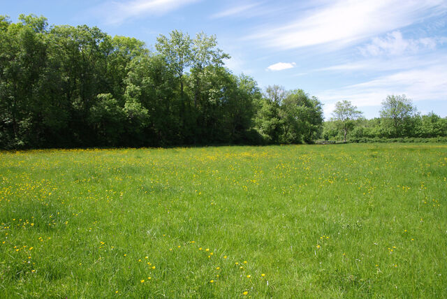 236909-mouron_360-2_360_ii_225o.jpg