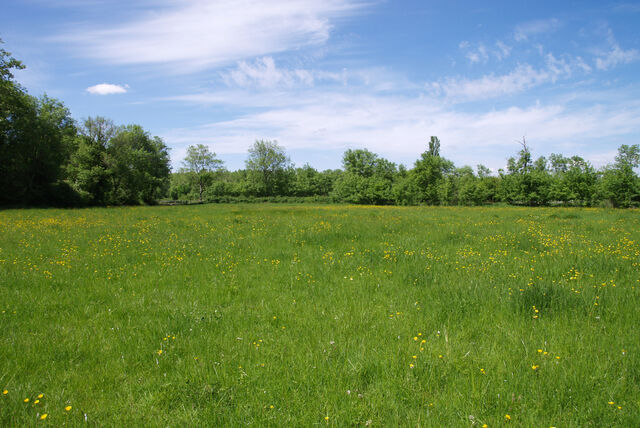 236911-mouron_360-2_360_ii_255o.jpg