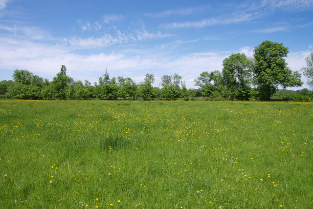 236912-mouron_360-2_360_ii_285o.jpg