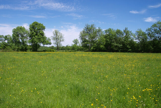 236915-mouron_360-2_360_ii_330o.jpg