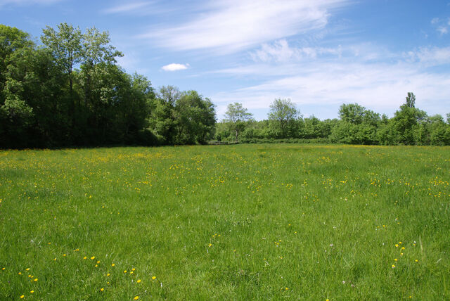 236908-mouron_360-2_360_ii_240o.jpg