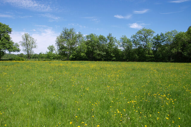 236916-mouron_360-2_360_ii_345o.jpg