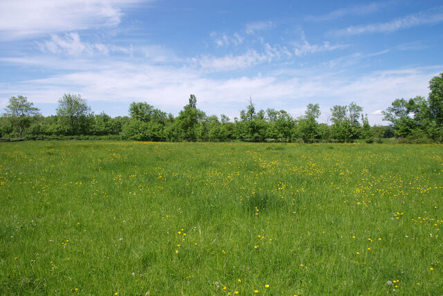 236910-mouron_360-2_360_ii_270o.jpg