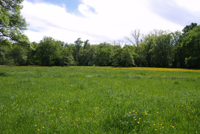 236900-mouron_360-2_360_ii_105o.jpg
