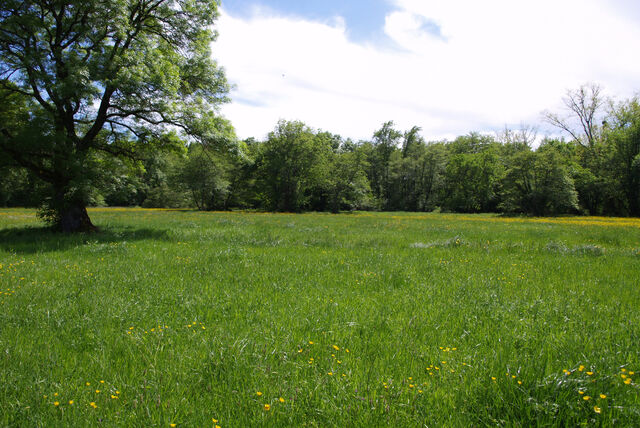 236898-mouron_360-2_360_ii_90o.jpg