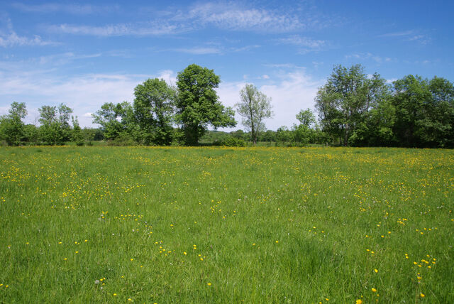 236914-mouron_360-2_360_ii_315o.jpg