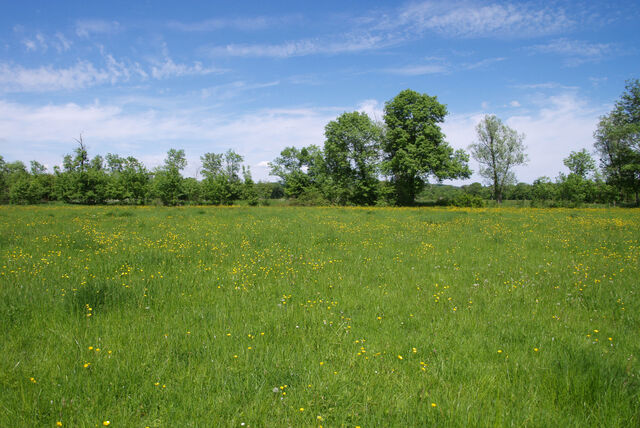 236913-mouron_360-2_360_ii_300o.jpg