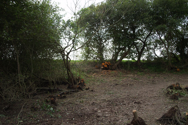 236964-mouron_360-4_360o_iv_315o.jpg
