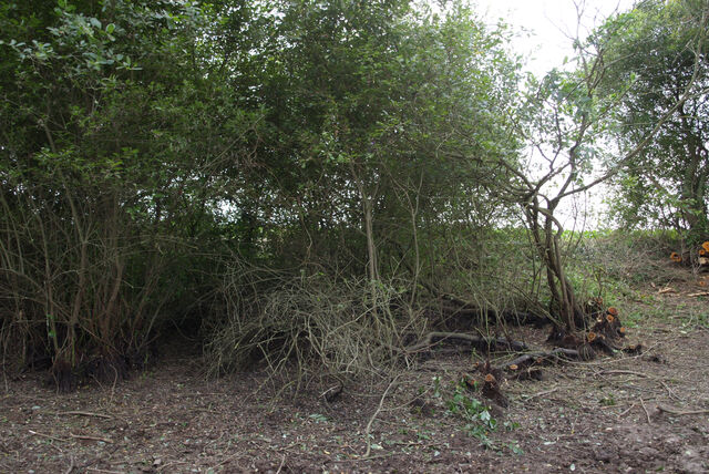 236962-mouron_360-4_360o_iv_285o.jpg