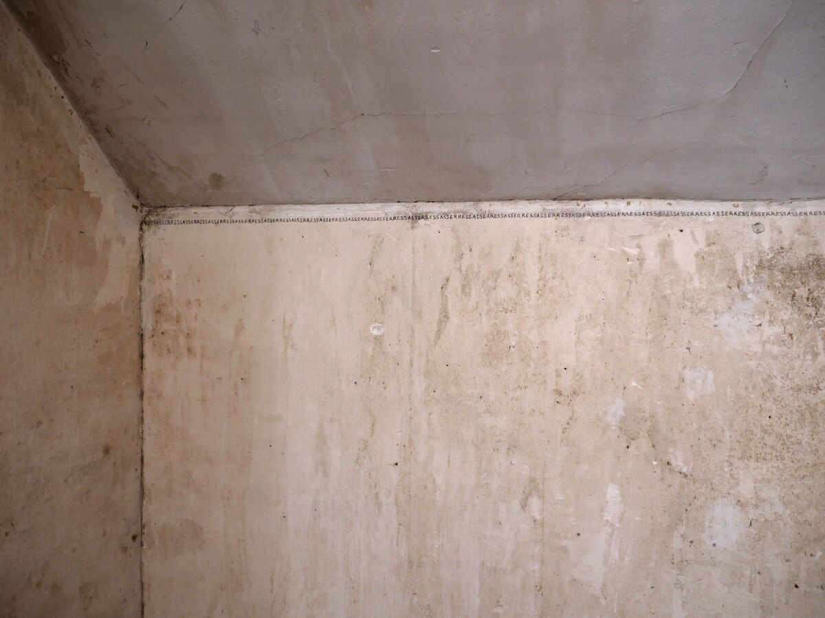 253216-mouron-ressasser-p1007512_.jpg