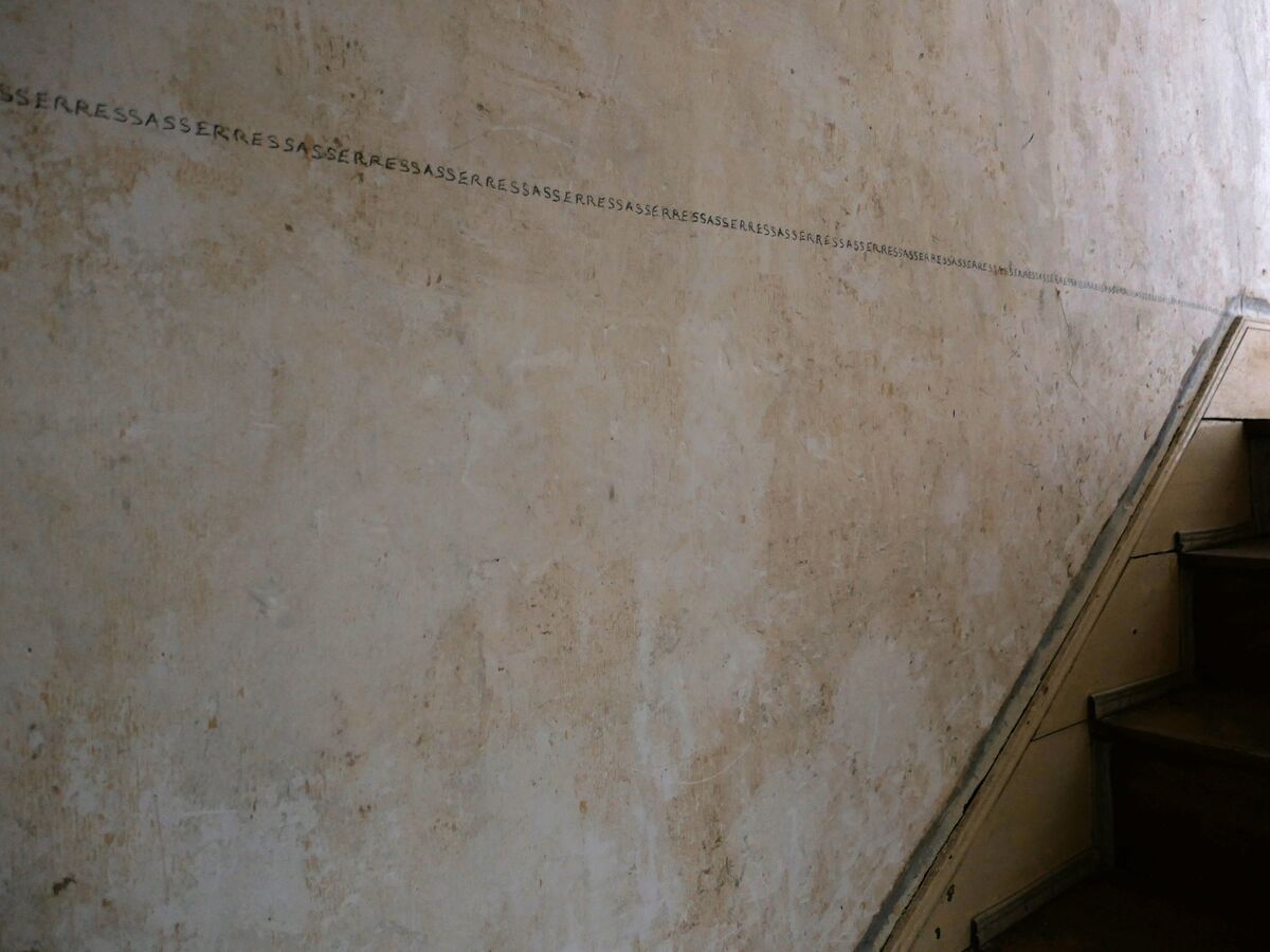 253217-mouron-ressasser-p1007466_.jpg