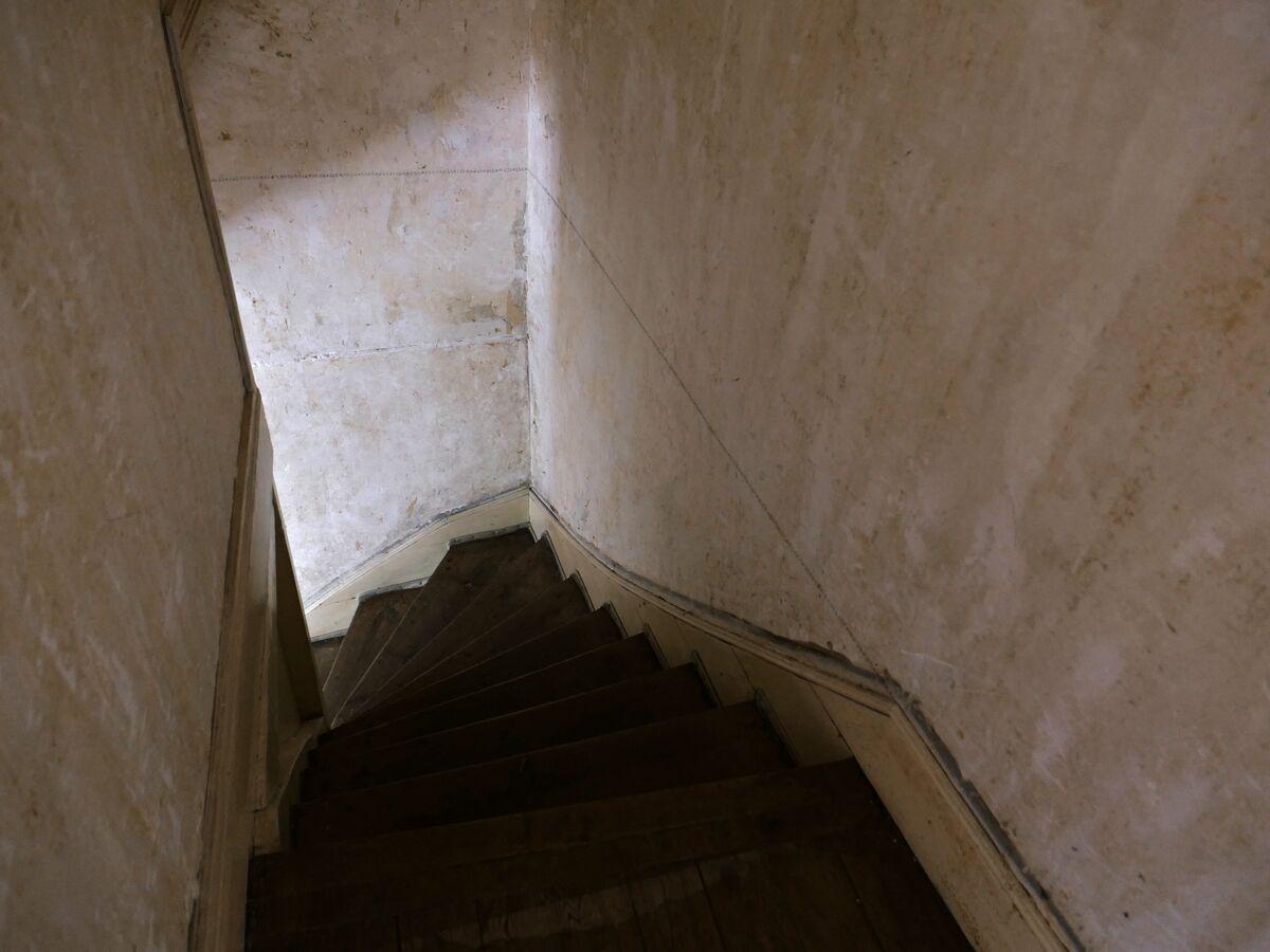 253218-mouron-ressasser-p1007460_.jpg