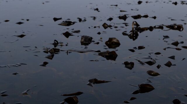 _La fluidité des éléments_