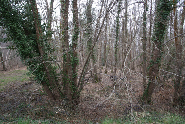 _0,6 km à l’heure_