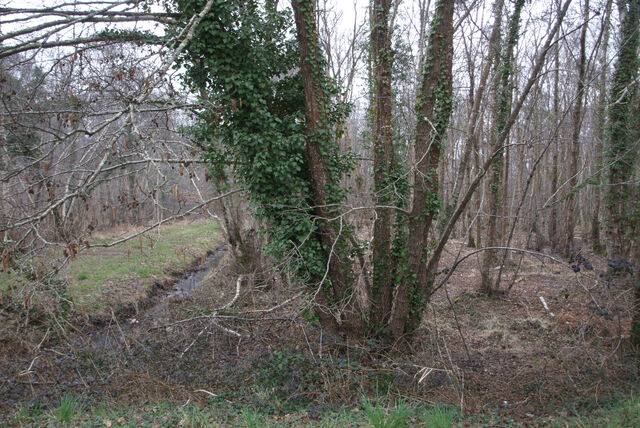 236849-mouron_06kmalheure_0_6_km_h_-_09.jpg