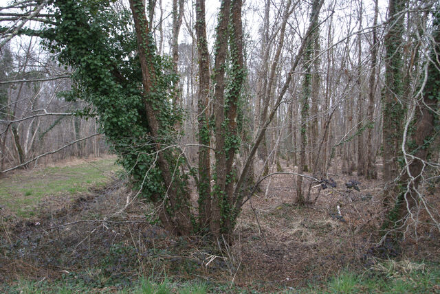 236848-mouron_06kmalheure_0_6_km_h_-_10.jpg