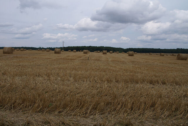 236860-mouron_100metres_100_me_tres_6.jpg