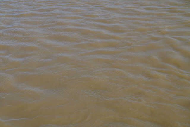 236813-mouron_50metresaller50metresretour_14h06_50_m.jpg