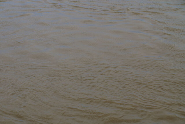 236817-mouron_50metresaller50metresretour_14h31_0_m.jpg