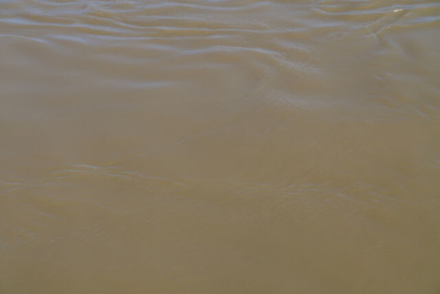 236808-mouron_50metresaller50metresretour_13h46_10_m.jpg