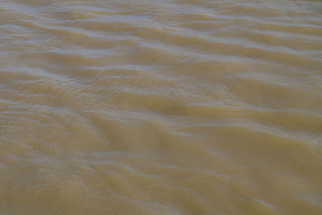 236812-mouron_50metresaller50metresretour_14h01_40_m.jpg