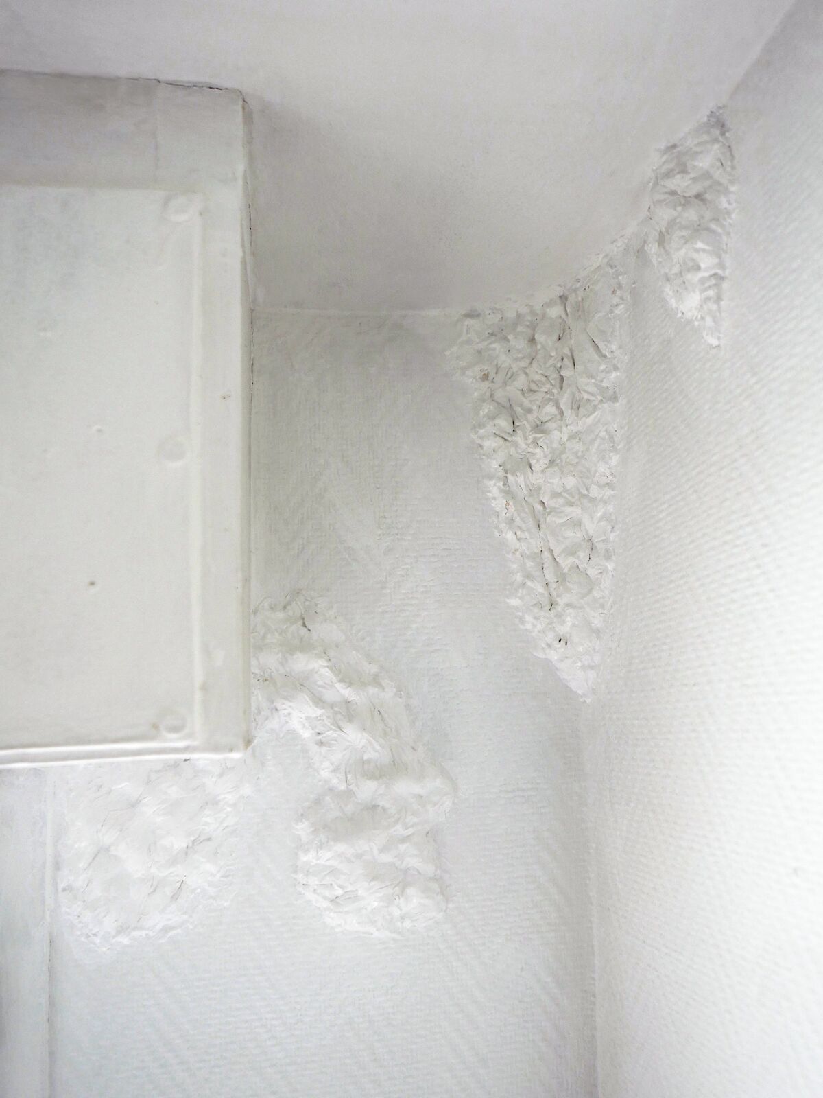 253227-p1010641-2.jpg