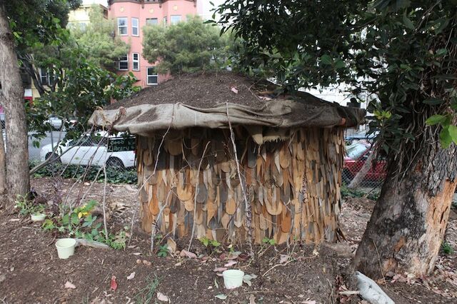 262798-husky-seed-library-img_8277.jpg