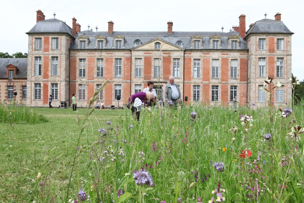 262809-husky-jardin-a-la-francaise-sauvage-img_2852.jpg