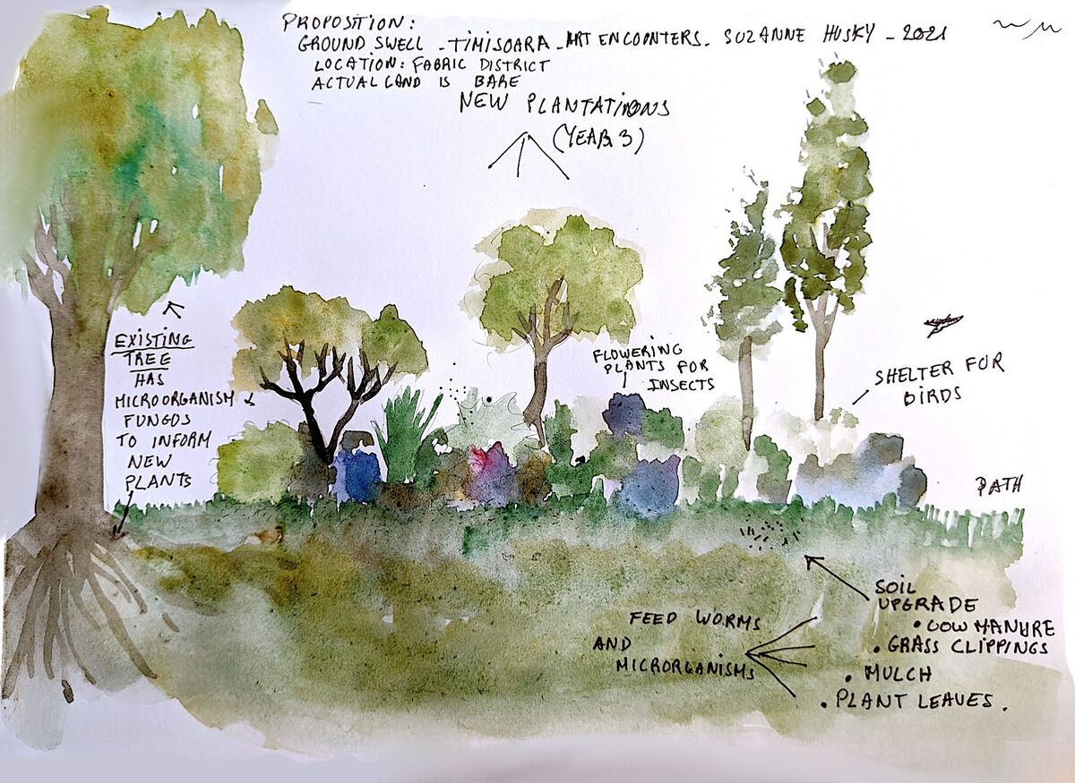 264439-husky-groundswell-dessin.jpg